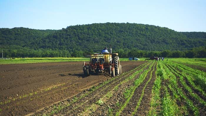 Fields being plowed