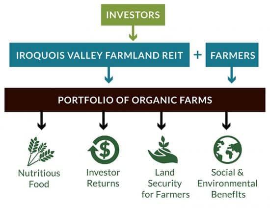 Iroquois Valley Farmland REIT Financial Model Infographic