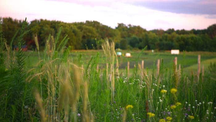 Sunset over farm