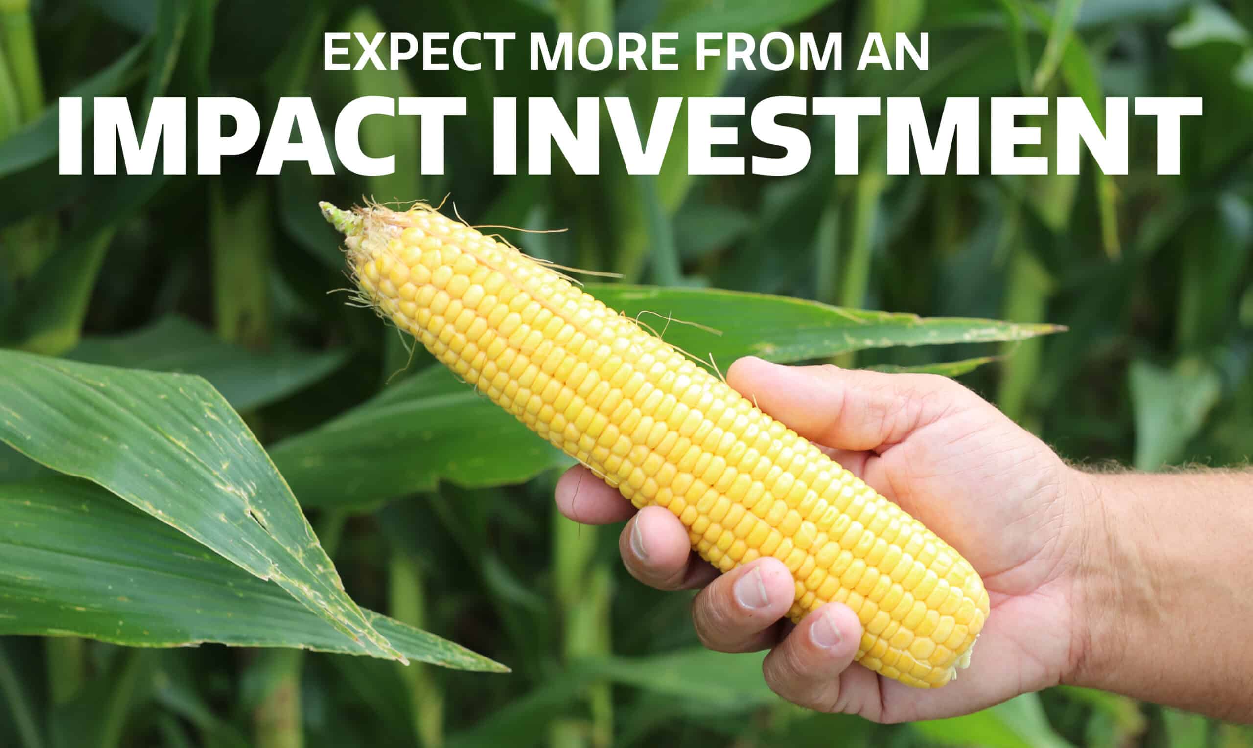 A hand holds a fresh ear of corn in front of green leaves. White text above reads, "EXPECT MORE FROM AN IMPACT INVESTMENT.