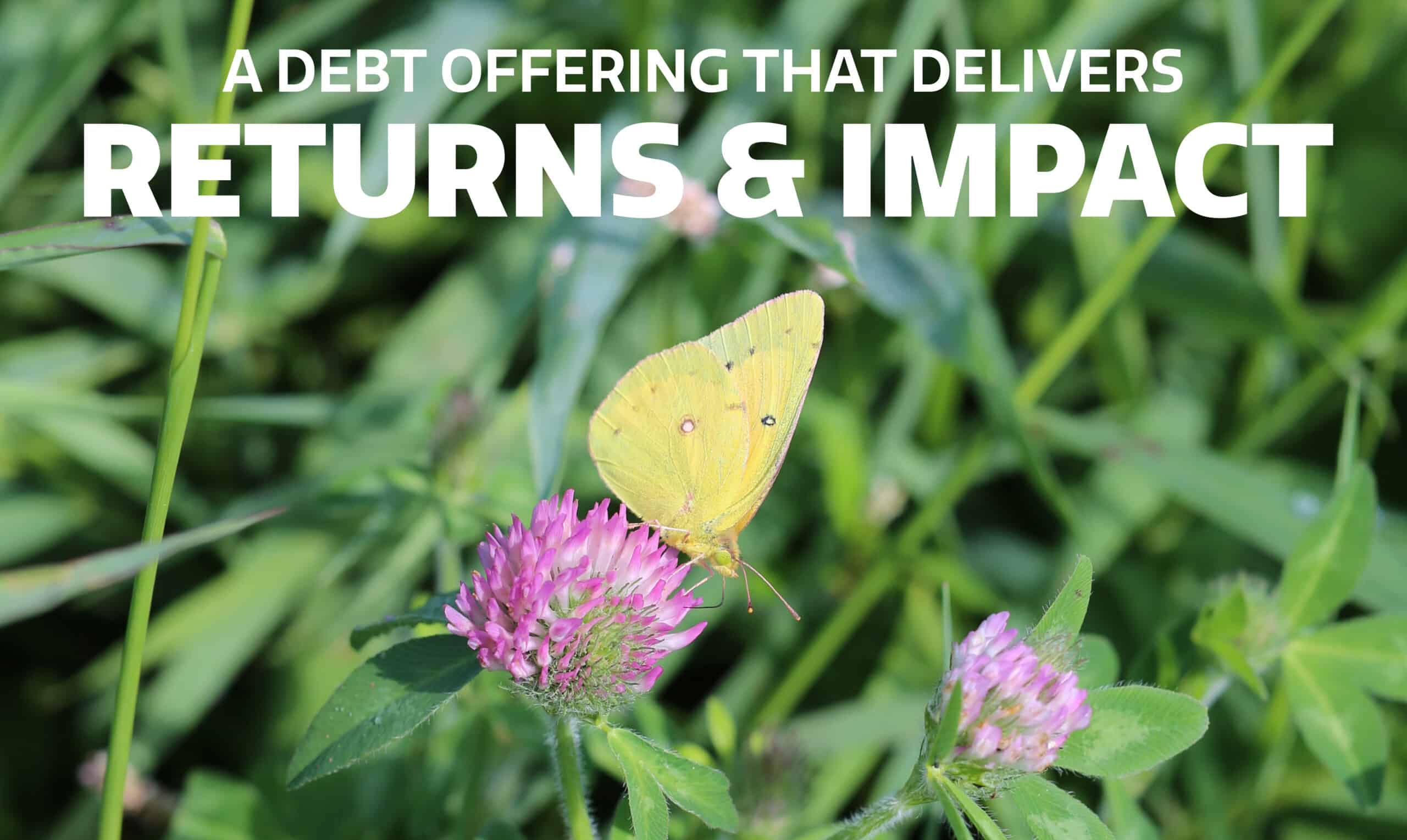A yellow butterfly rests on a pink clover flower amid green leaves. Bold white text reads: "A debt offering that delivers RETURNS & IMPACT.