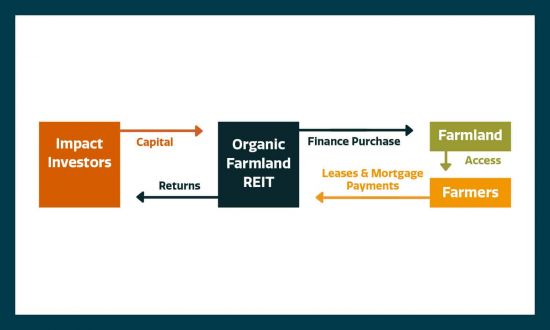 Flowchart showing Impact Investors providing capital to Organic Farmland REIT, which finances farmland purchases. REIT receives lease and mortgage payments from Farmers and gives Investors returns. Farmers get access to farmland.
